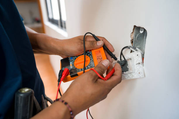 Best Licensed Electrician  in Pleasant Ridge, MI