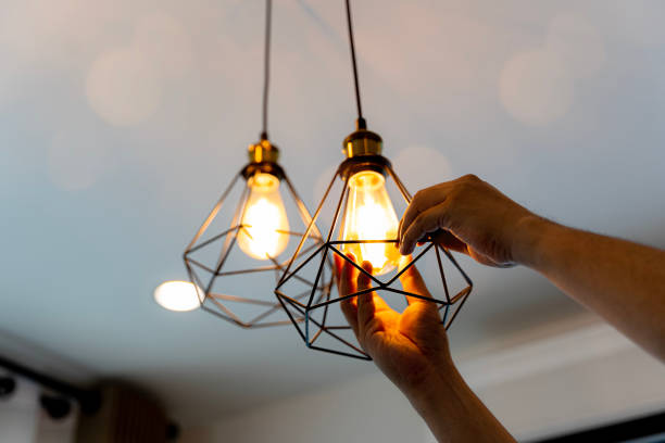 Best Best Electricians Near Me  in Pleasant Ridge, MI