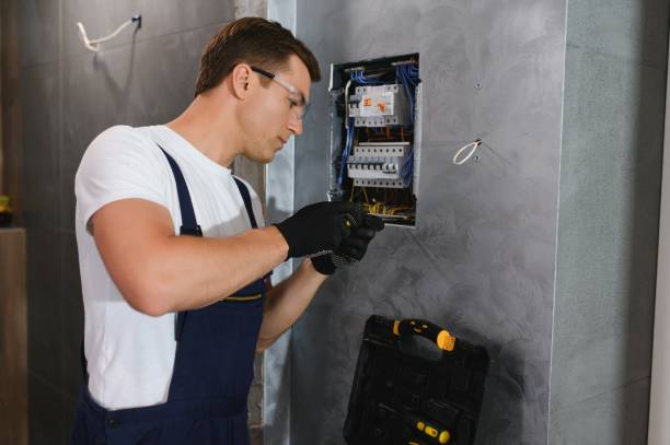 Best Electrical Repair Services  in Pleasant Ridge, MI