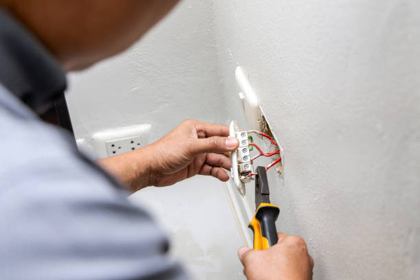 Best Local Electrician Companies  in Pleasant Ridge, MI